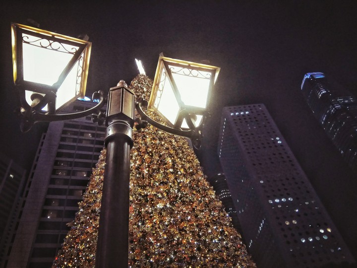 The city
