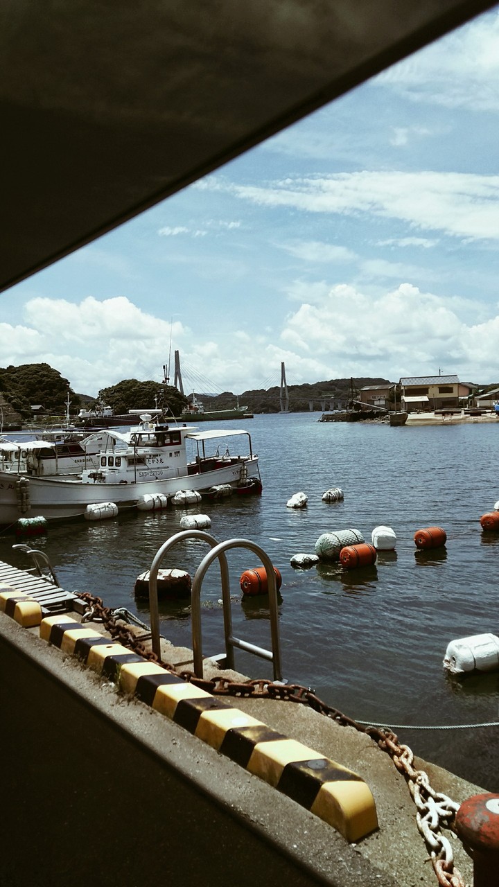 港