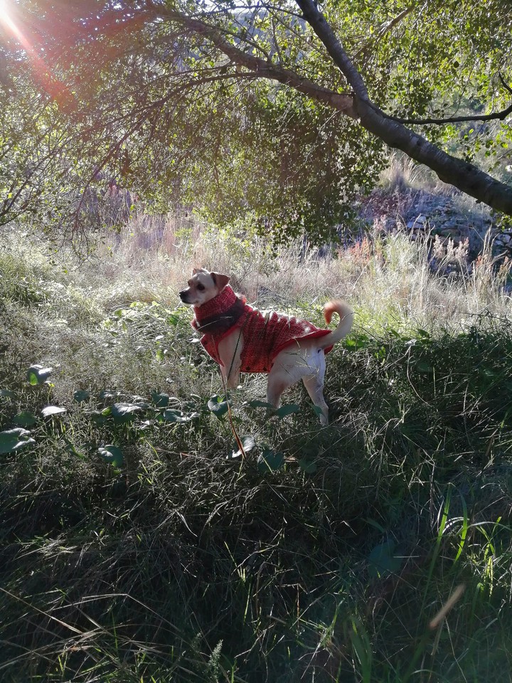 Perla ❤️