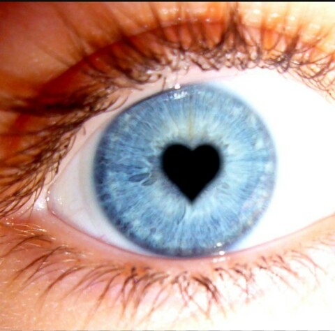 see