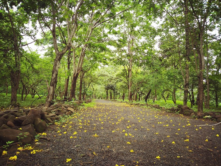 nature reserve