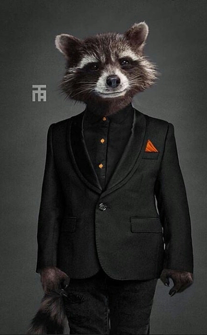 MR Rocket