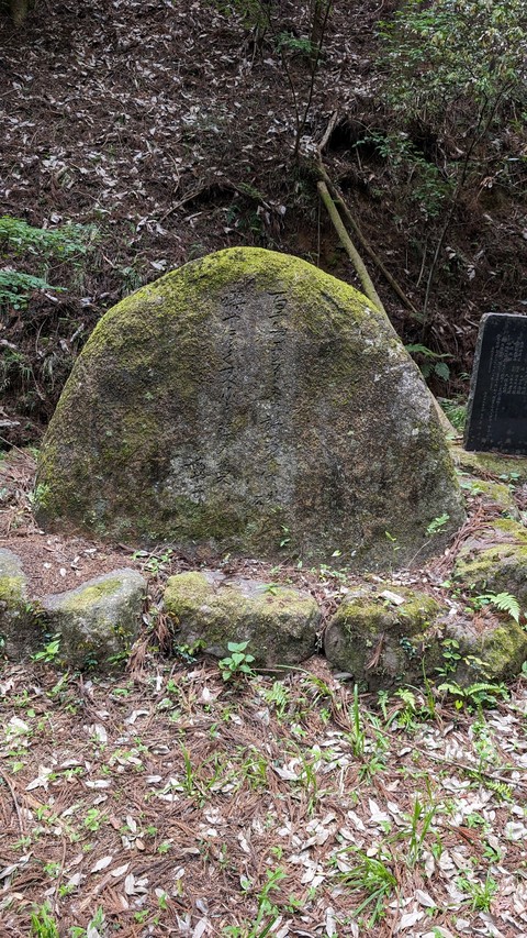 тапети trunk, Grave