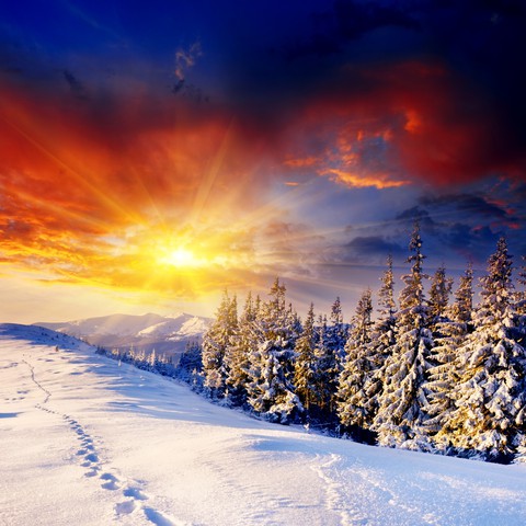 hot n cold