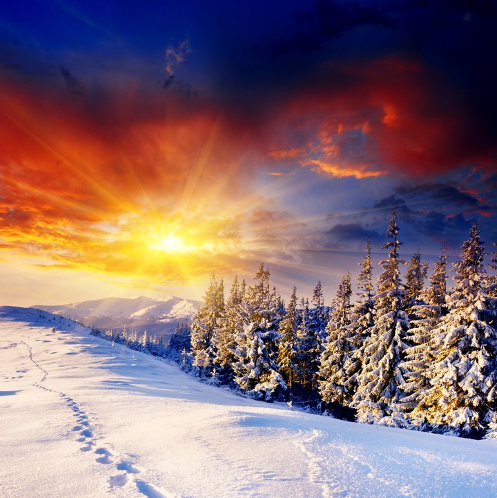 hot n cold