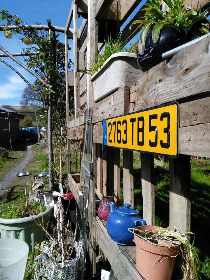 garden