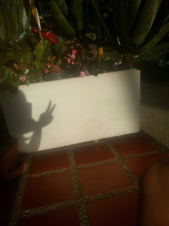 sombras