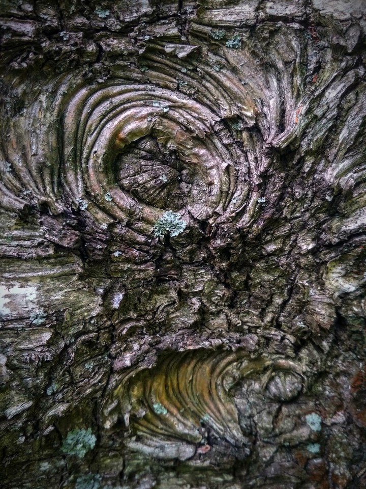 texture