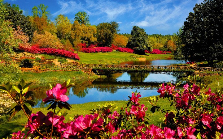 awesome spring time