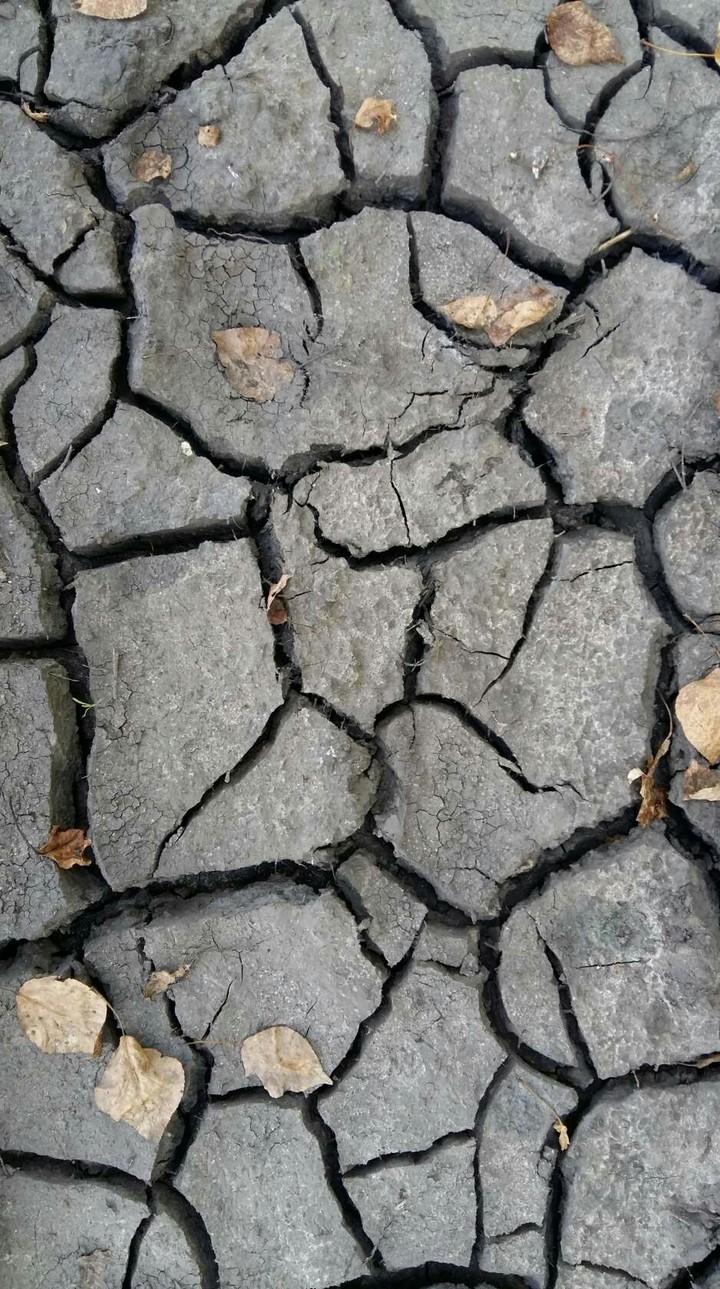 Земля