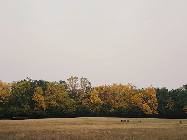 Autumn