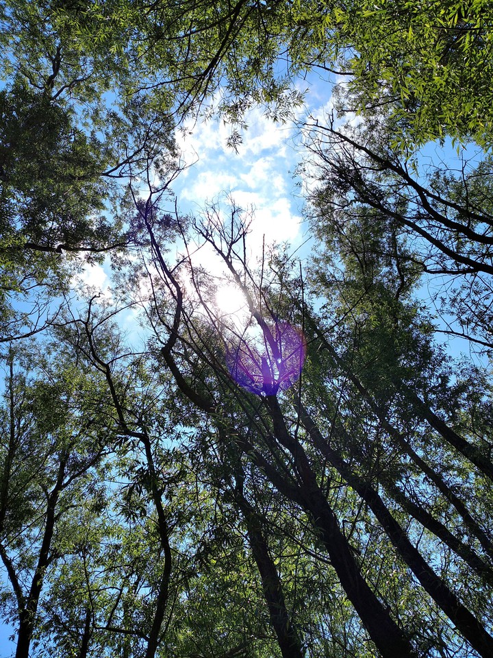 Deep inside nature