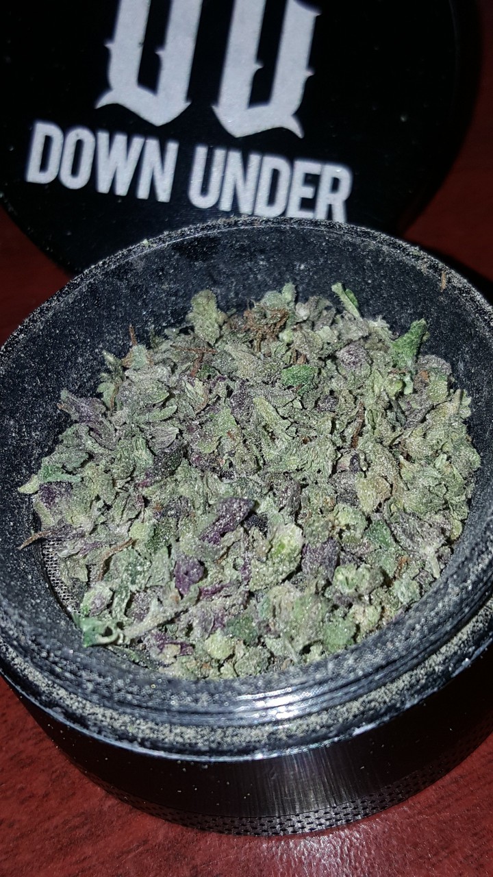 high life