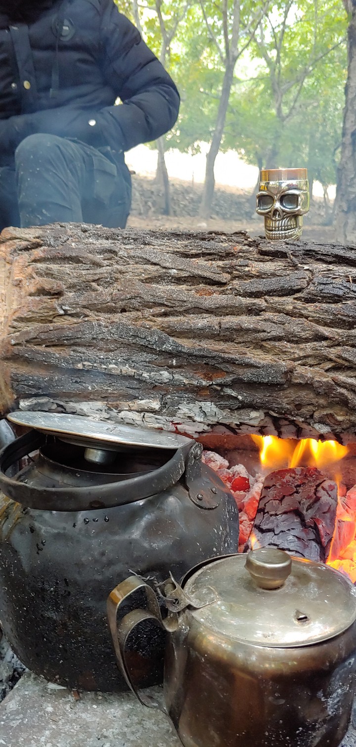 rest fire
