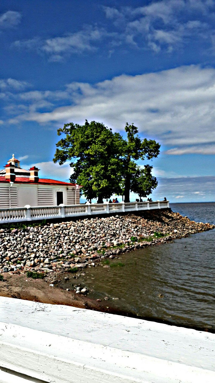 House on the Cape