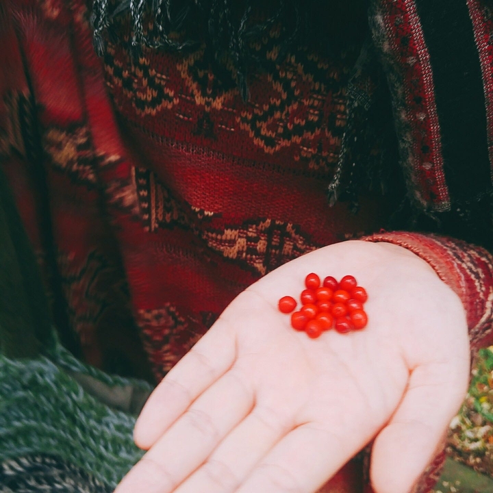 red love