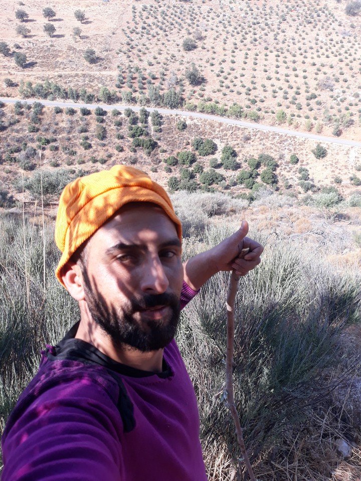zahir