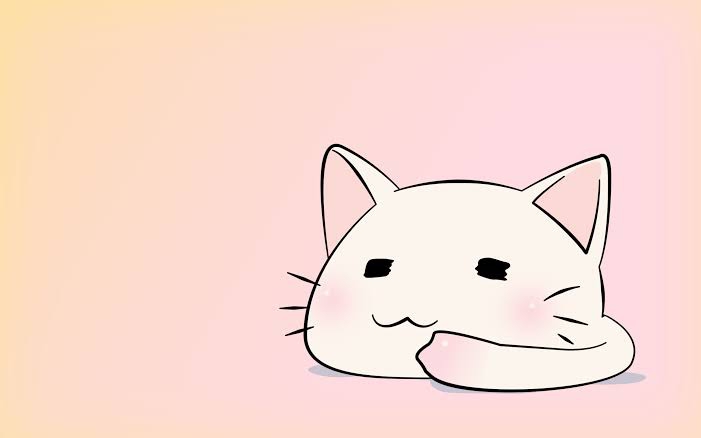 chibby cat