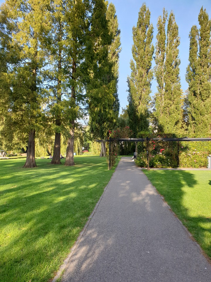 rotterdam citypark