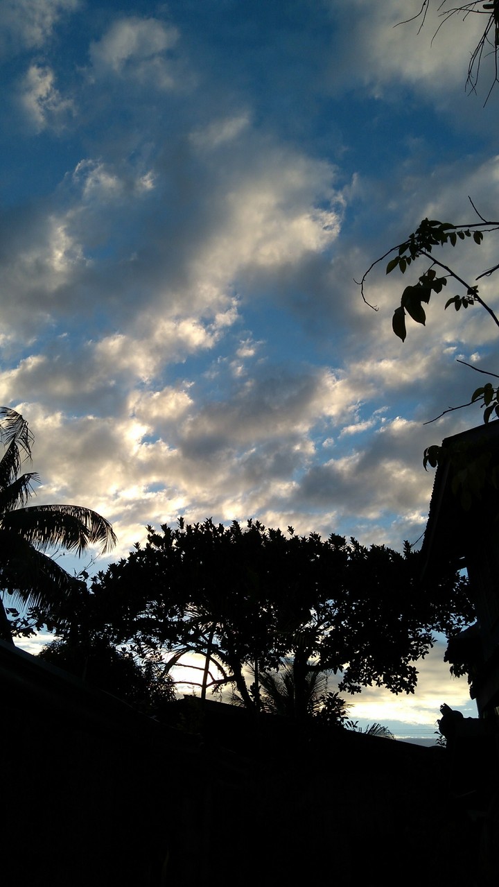 Afternoon