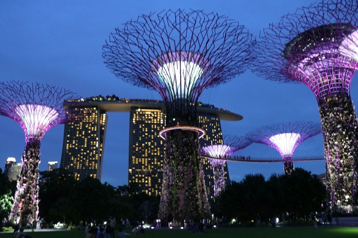 lights