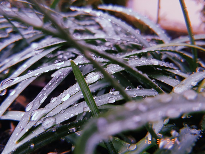 RAIN