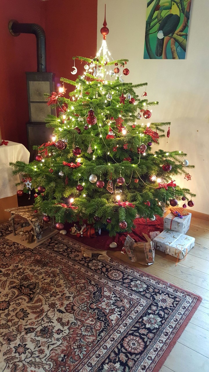 Weihnachtsbaum