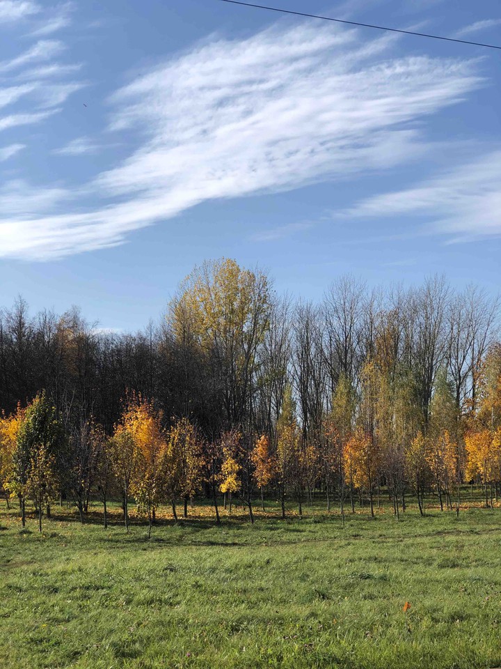 autumn mood