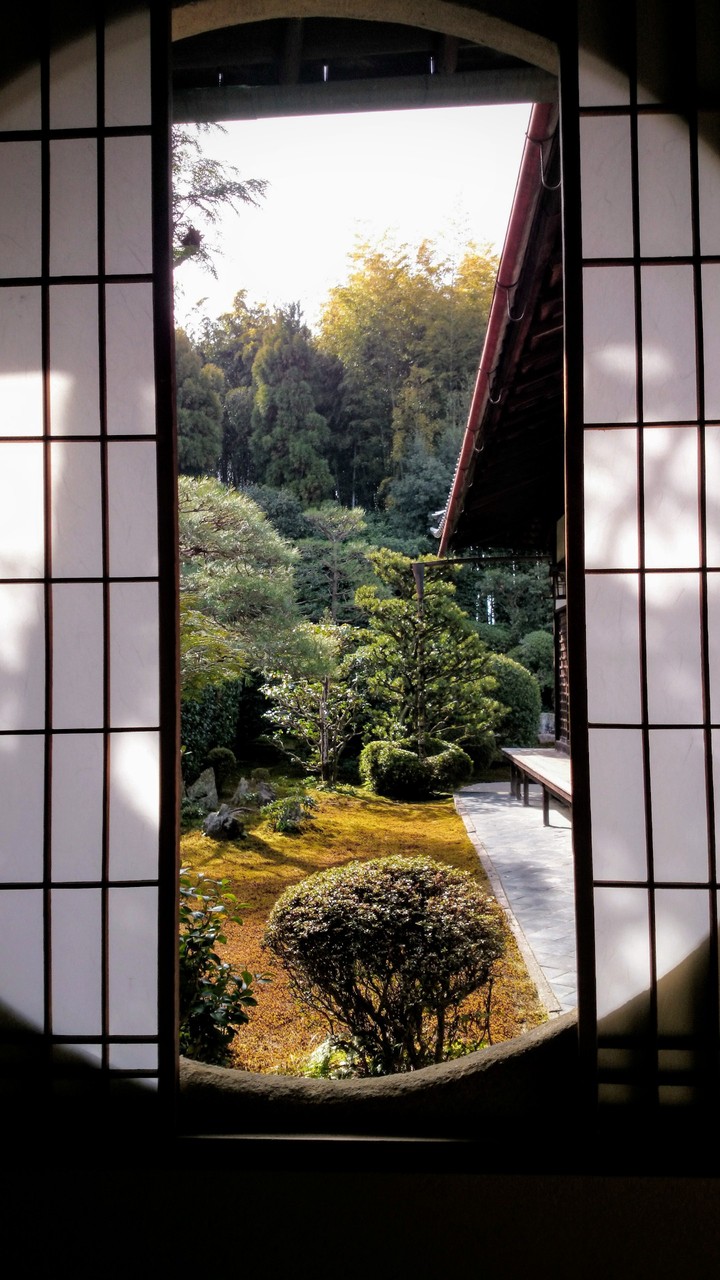 garden in the window