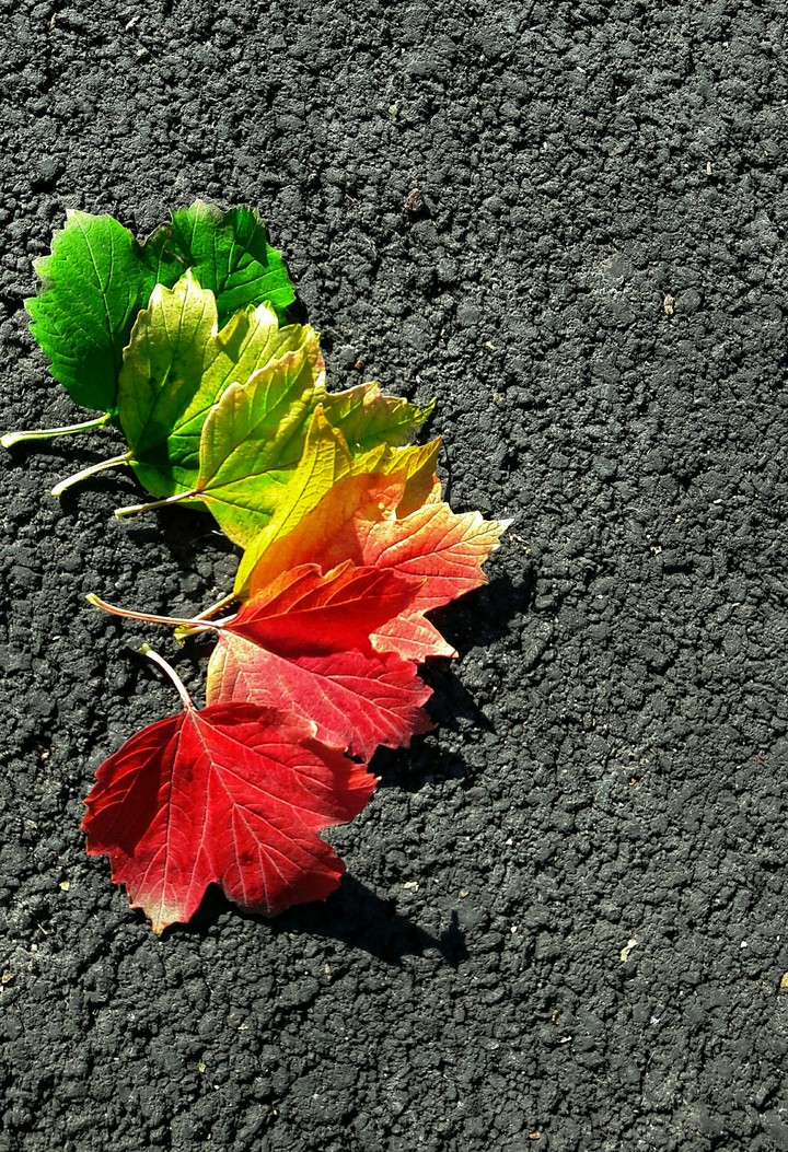 From summer to autumn