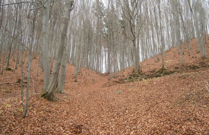 Autumn