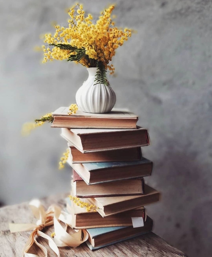 BOOKS and MIMOSA