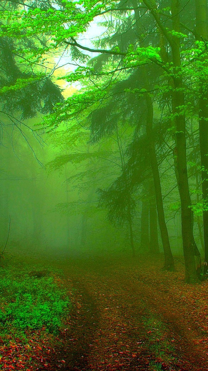 #love with the nature is beauty of life