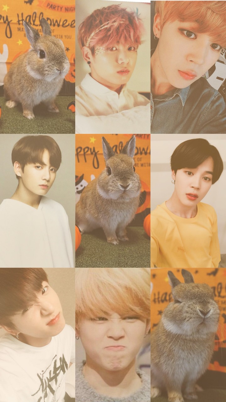jungkook & jimin like rabbits