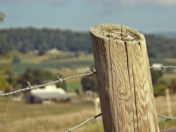 fence II