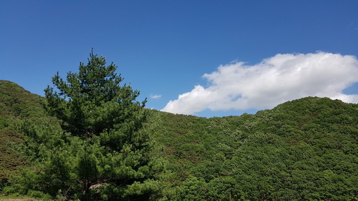 산과하늘