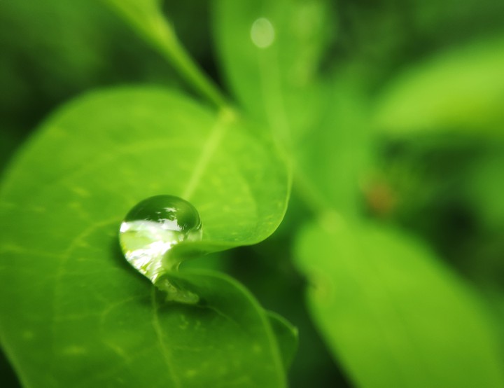 Enjoy every moment on a rainy day