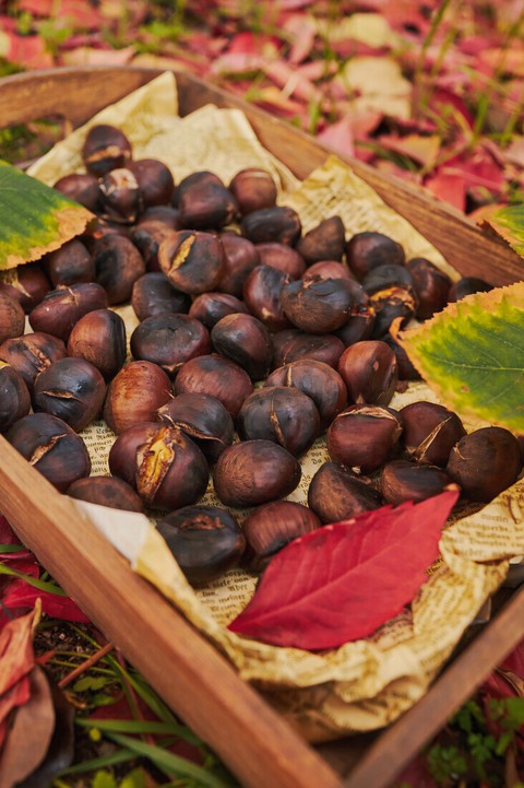 ROASTED CHESTNUTS
