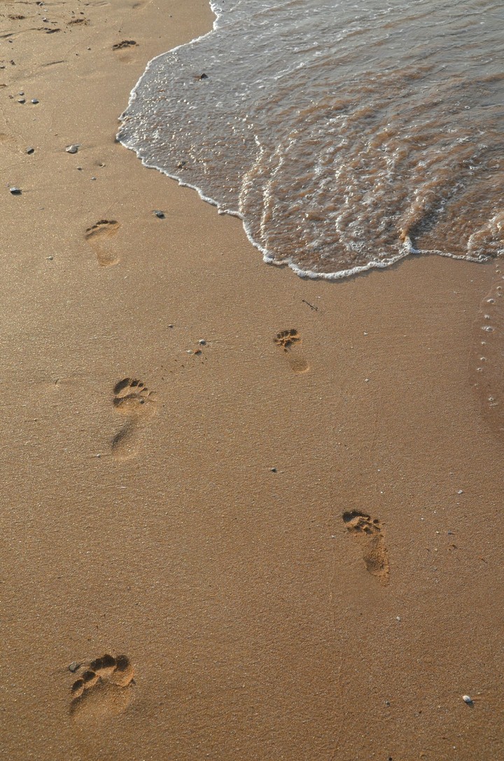 Sea. sand.