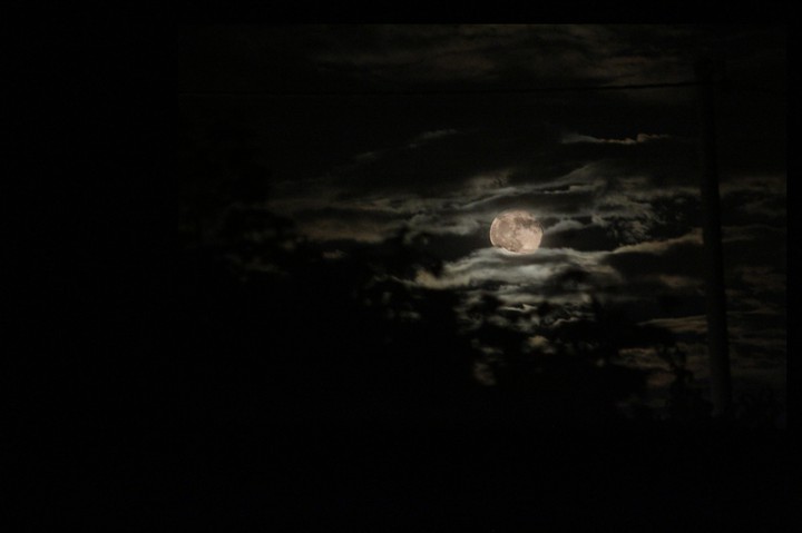 "E la luna bussò"