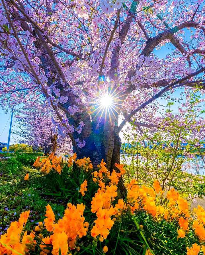 ♧♡~•°♧♡~•°♧♡