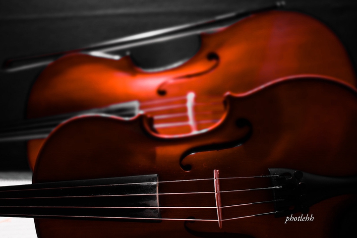 Cello