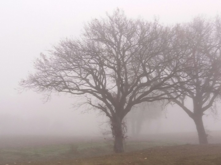 inverno