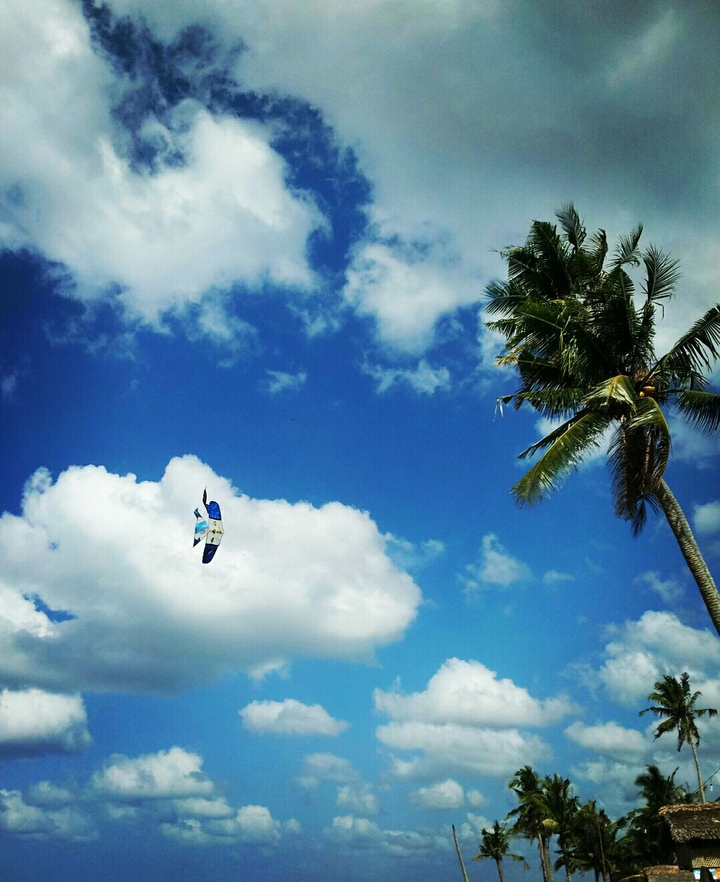 Lonely Kite