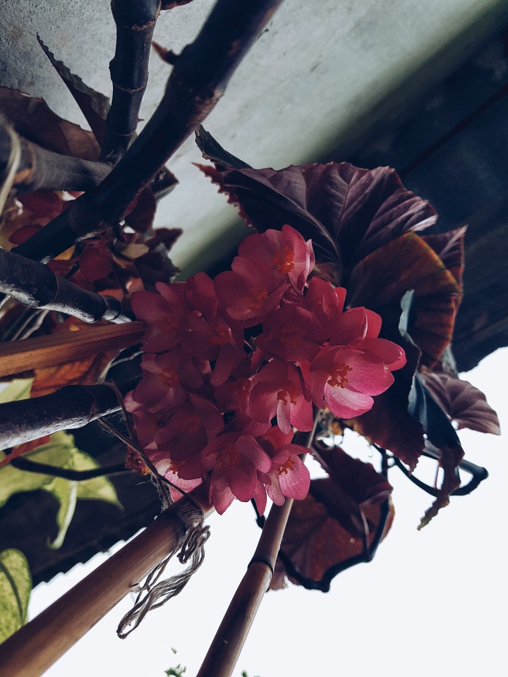 Beauty inside