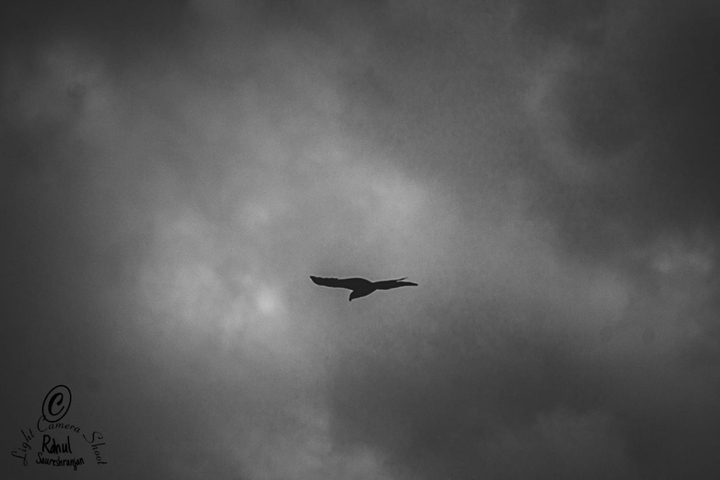 Below The Sky