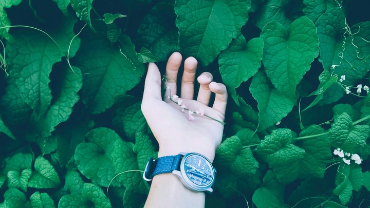 Greenery