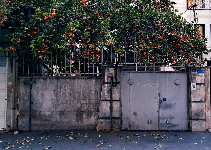 Tehran