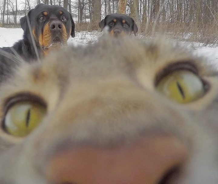 #selfie