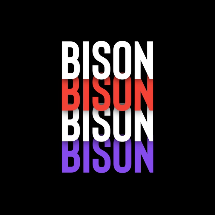 BISON TYPOGRAPHY DESIGN